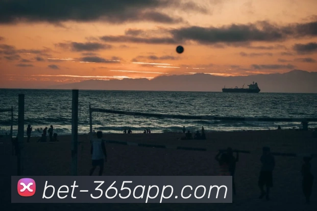 Bet365体育APP 封面图